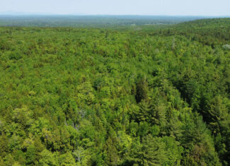 Large Land Parcel – 100 Acres in Maxfield, Maine