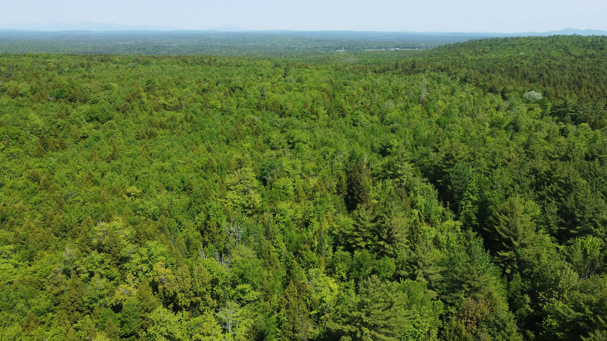 Large Land Parcel – 100 Acres in Maxfield, Maine