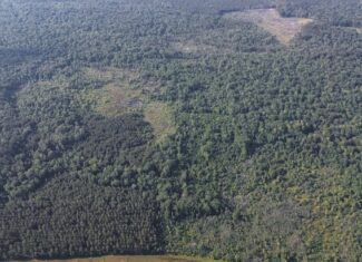 Chatham 72 – HARDWOOD TIMBER & HUNTING JACKSON PARISH LA