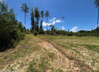 Wilkinson County MS Hunting Land for Sale