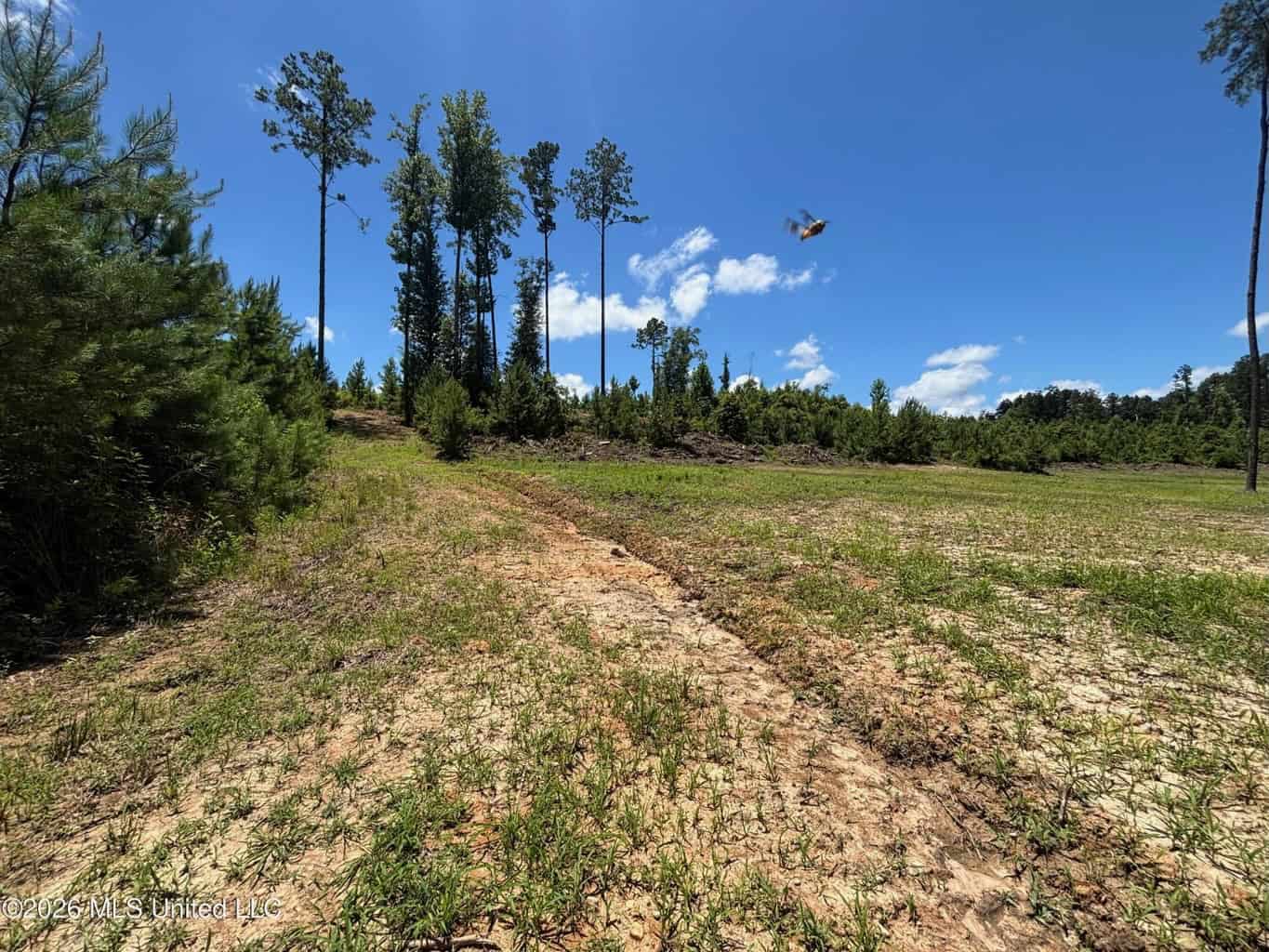 Wilkinson County MS Hunting Land for Sale