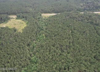 Crosby, MS Hunting Land by Homochitto National Forest