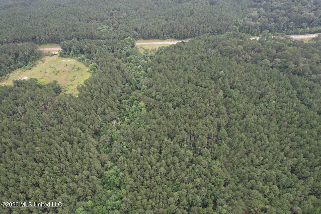 Crosby, MS Hunting Land by Homochitto National Forest