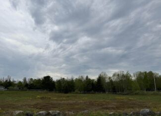 29.9 Acres Downeast – Cooper, Maine