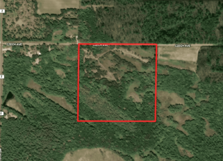 Forty acres in Adams County located in the Town of Strongs Prairie