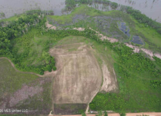 88 Acre Hunting Property – Wilkinson County, MS