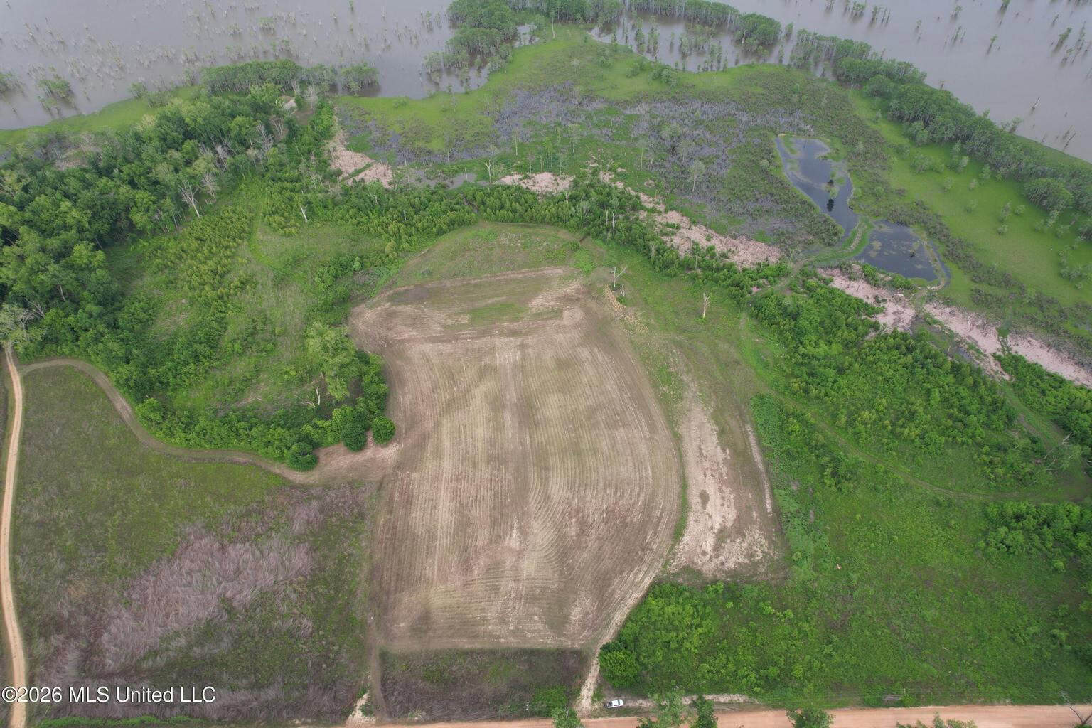 88 Acre Hunting Property – Wilkinson County, MS