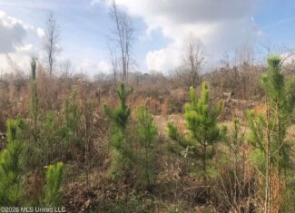 88.5 acres Hunting & Timber Land for Sale in Utica, Ms