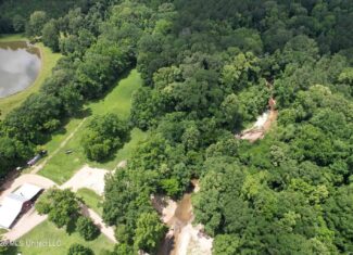 44 Acre Hunting Land in Wilkinson County, MS