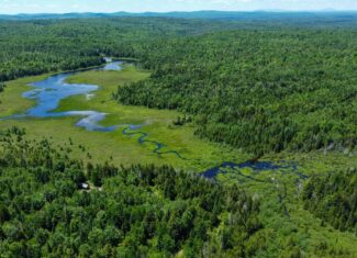 Large Acreage Maine Land for Sale Near West Grand Lake Chain