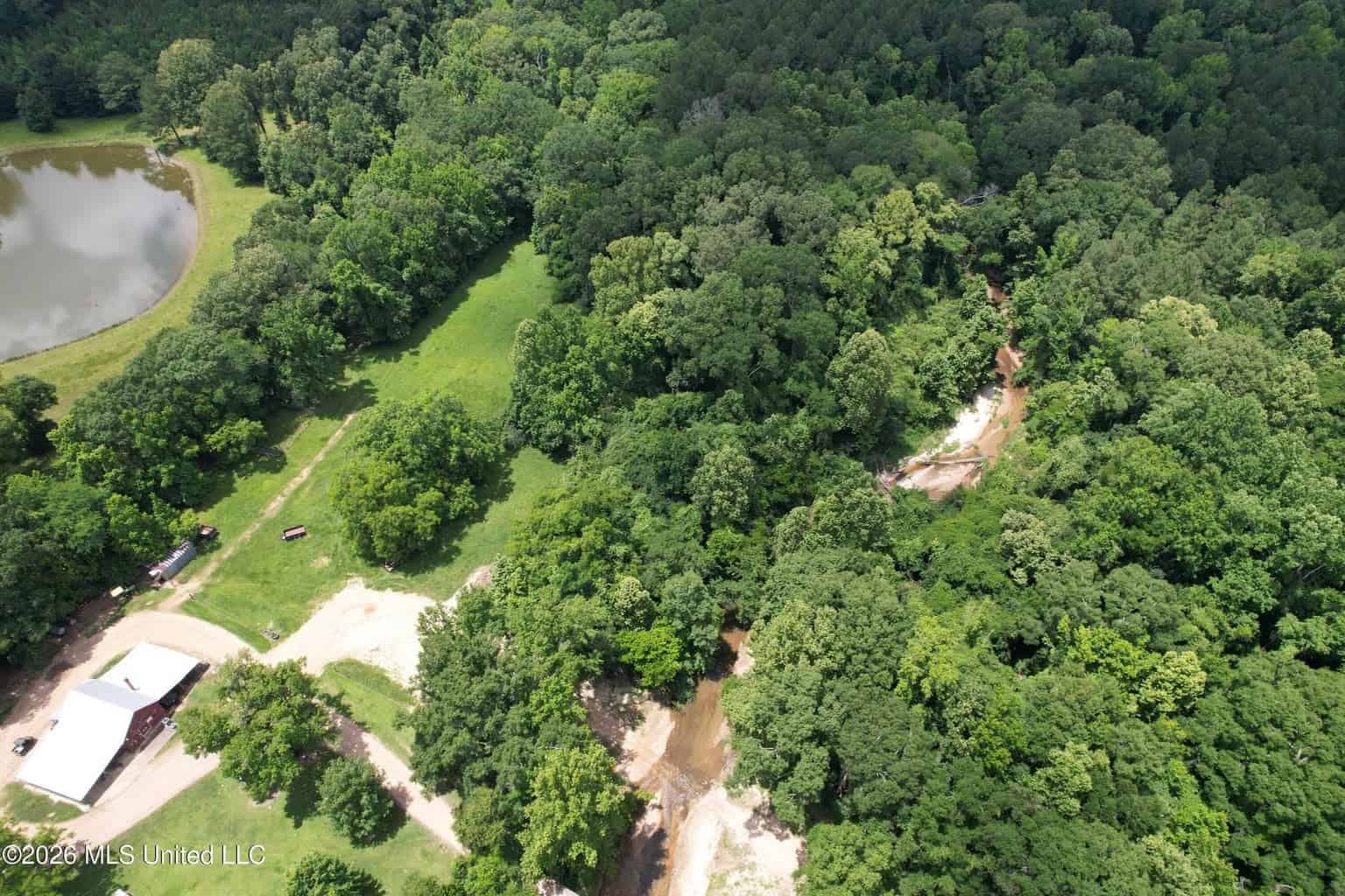 44 Acre Hunting Land in Wilkinson County, MS