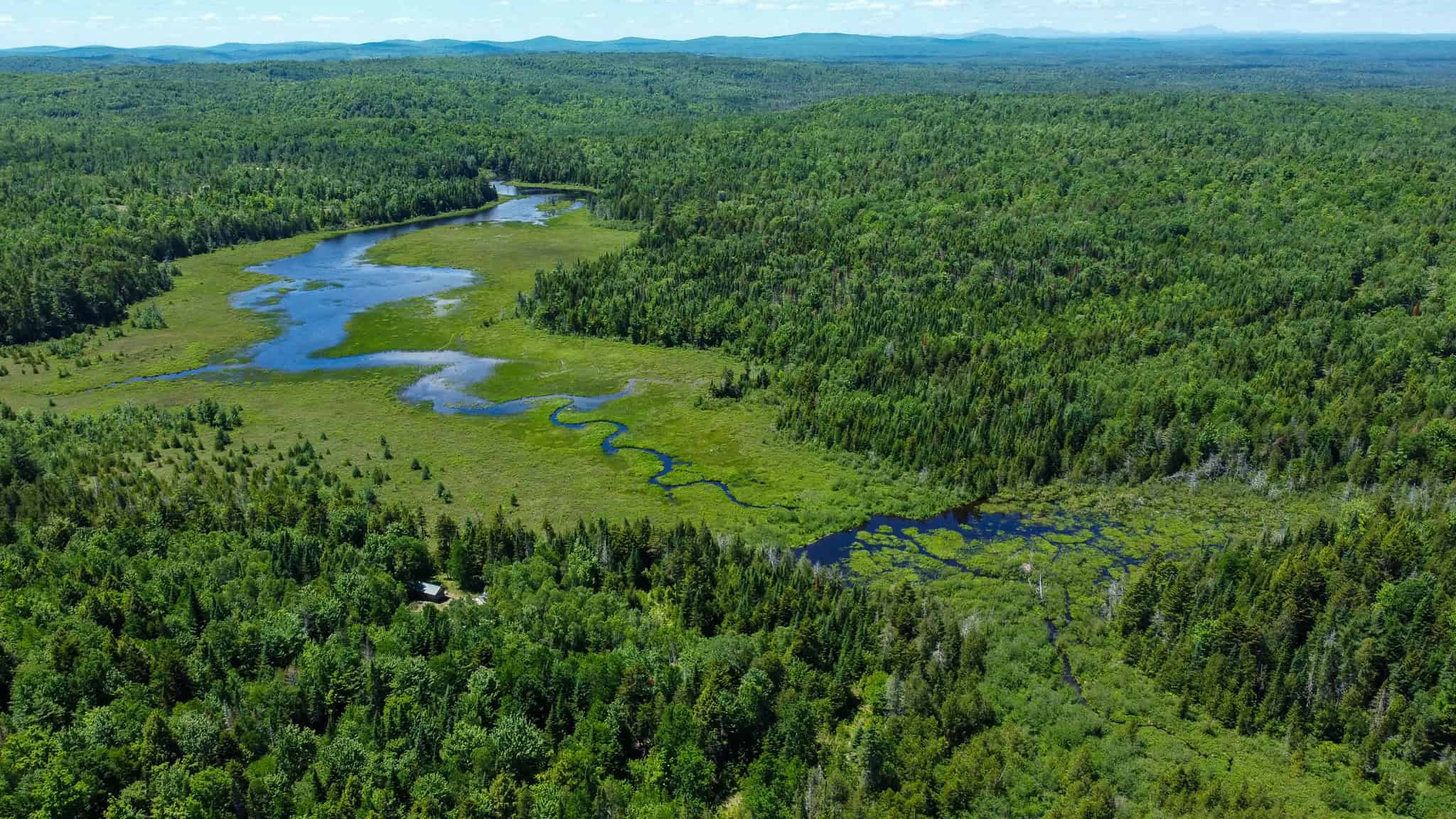 Large Acreage Maine Land for Sale Near West Grand Lake Chain