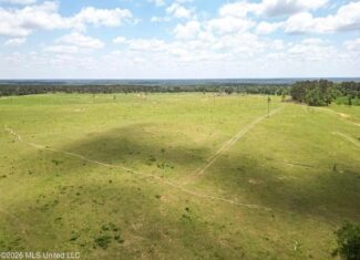 Pasture Land for Sale in Lincoln County, MS