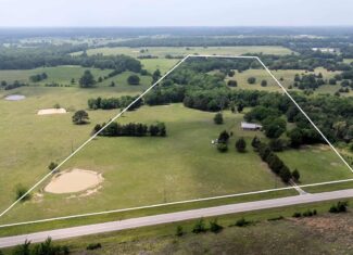 47.79-Acre Hunting Land with Cabin for Sale Ben Wheeler TX
