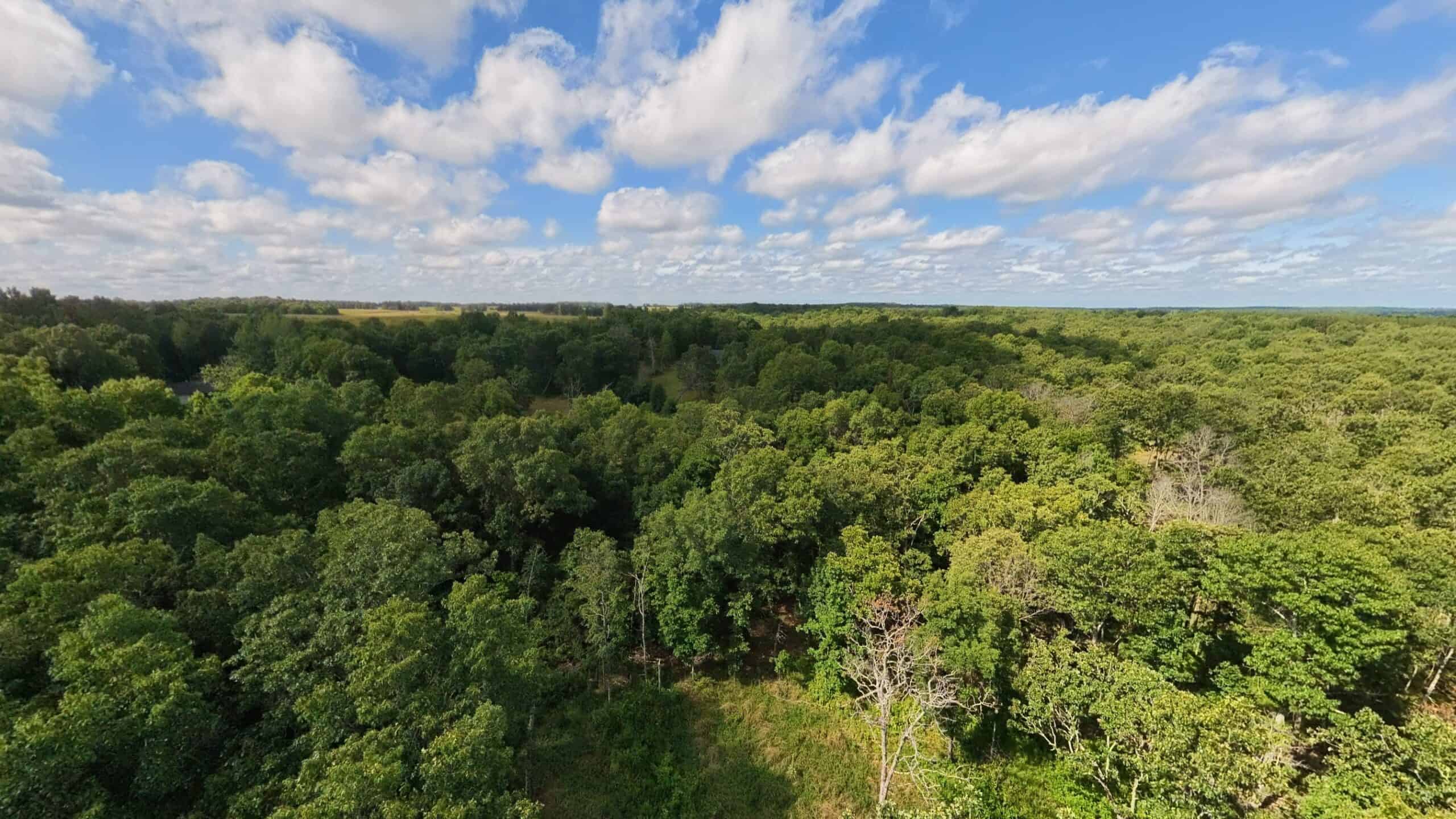 Rustic Ozarks Home on 27.5 Acres