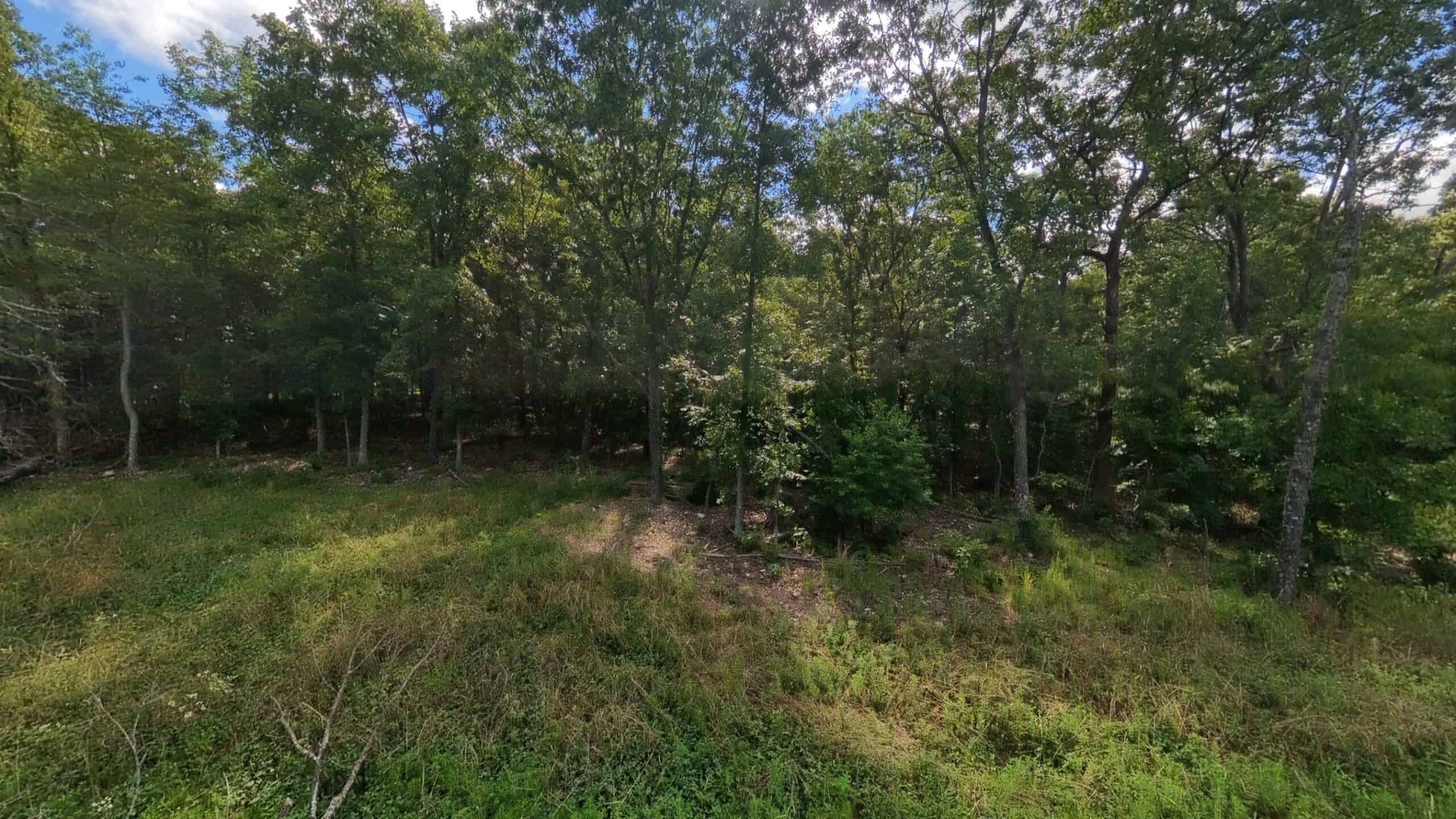 Rustic Ozarks Home on 27.5 Acres