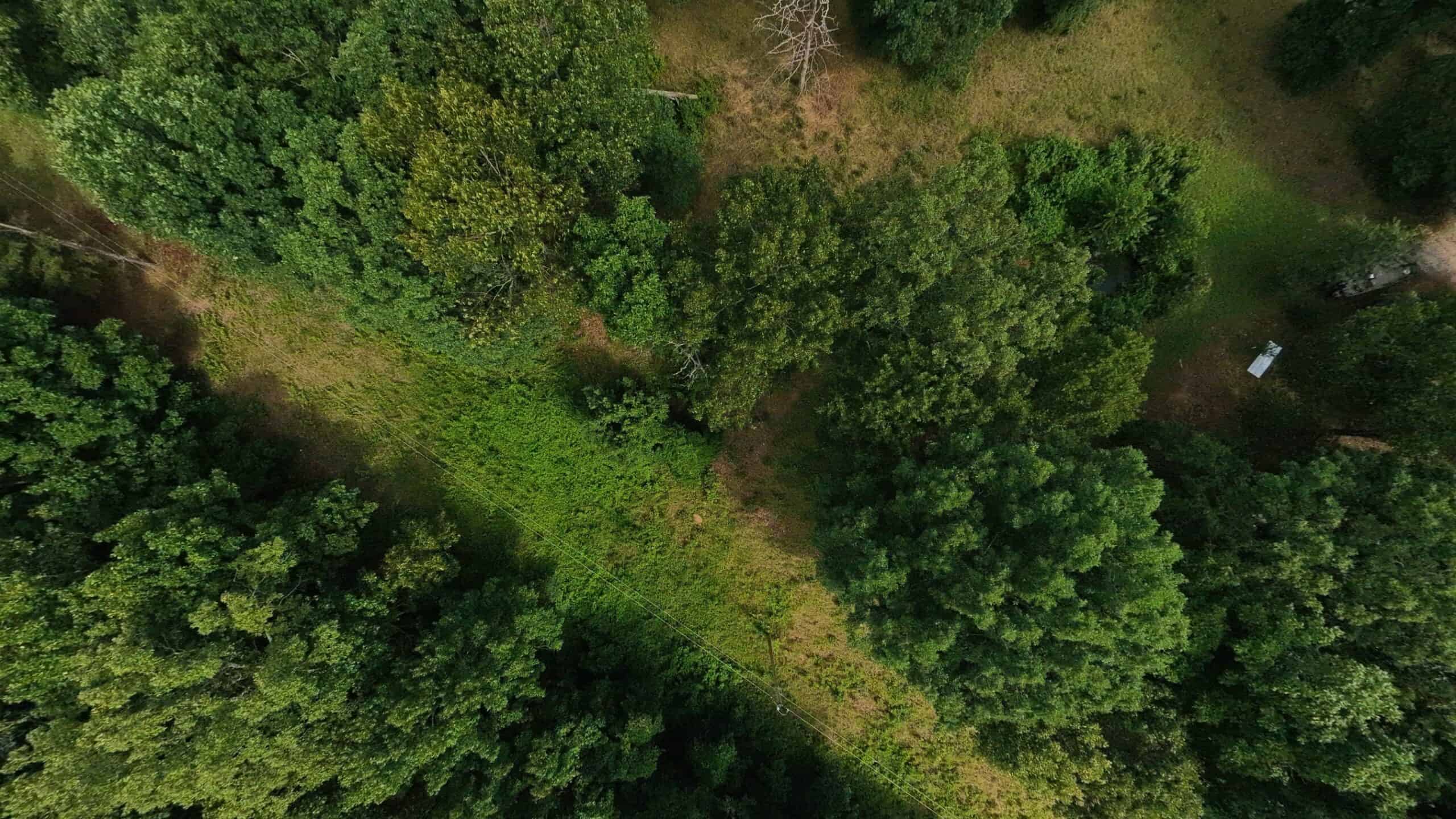 Rustic Ozarks Home on 27.5 Acres