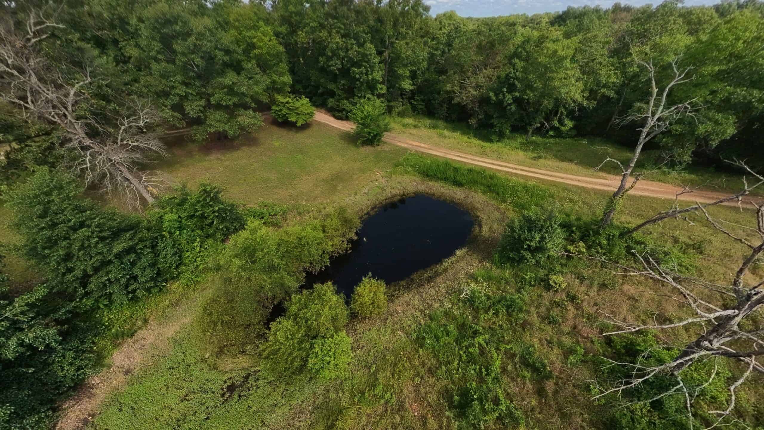 Rustic Ozarks Home on 27.5 Acres
