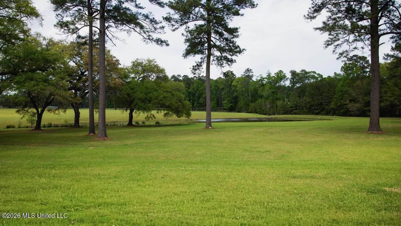158± Acres with Custom Homes in Oakdale, Louisiana