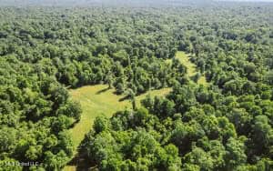 Jefferson County, MS Hunting Club Ownership Share