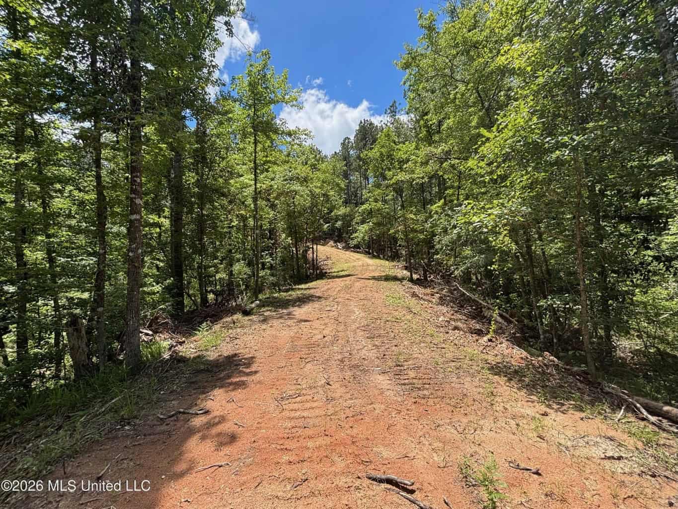 Wilkinson County MS Hunting Land for Sale