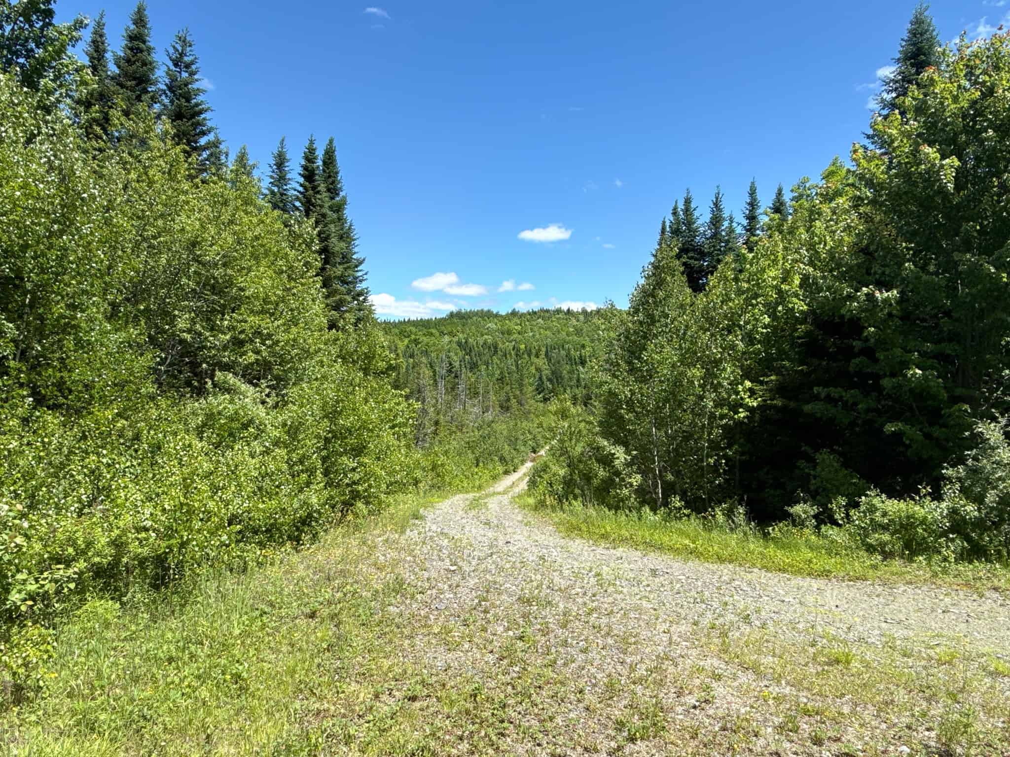 Large Acreage Maine Land for Sale Near West Grand Lake Chain