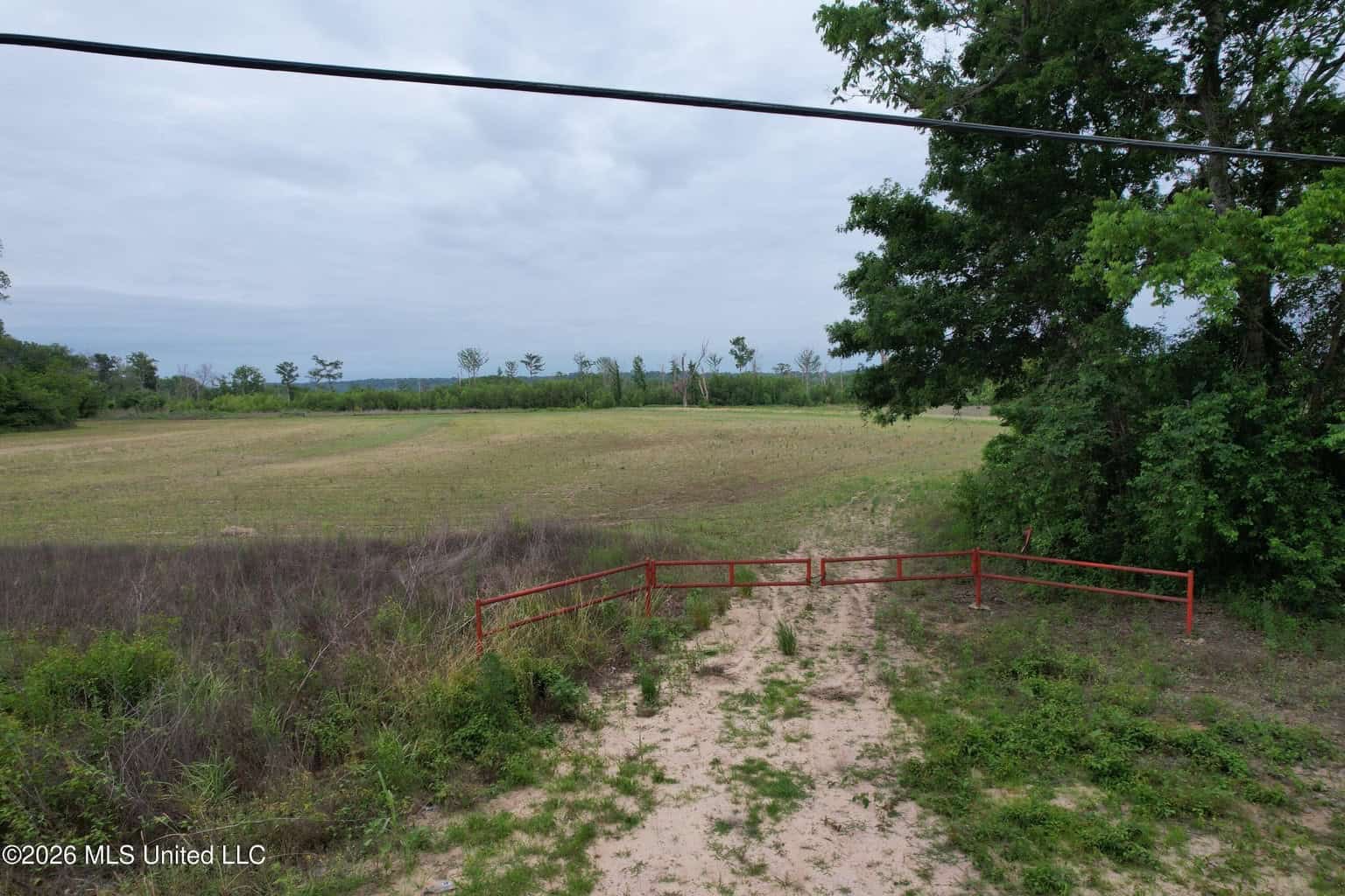 88 Acre Hunting Property – Wilkinson County, MS