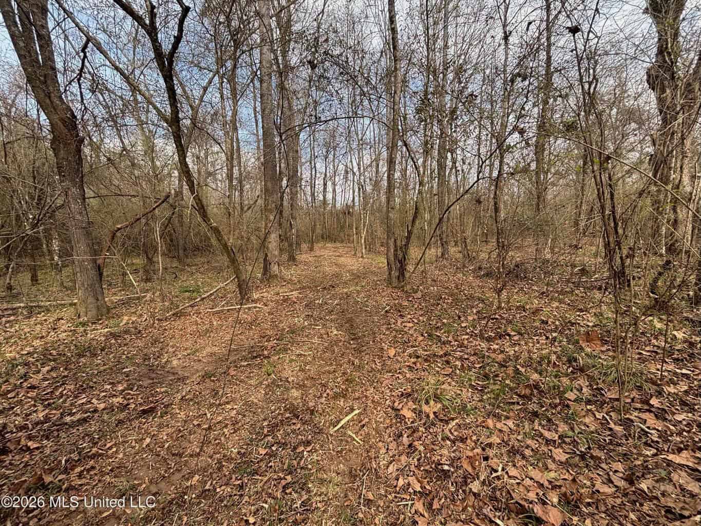 Hazlehurst MS Hunting Land for Sale