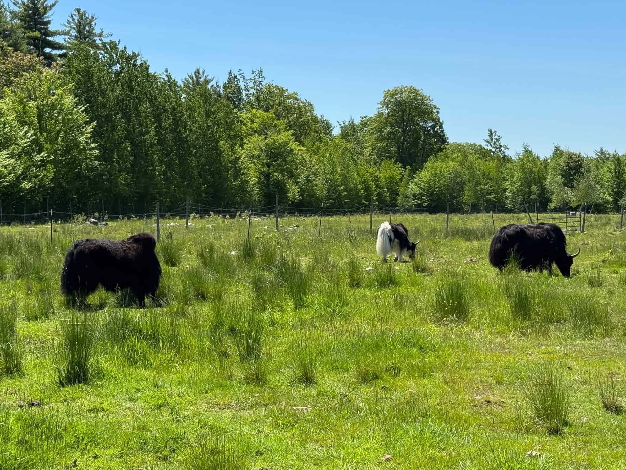 Unique Eco Friendly Home on 18.7 Acres – Waterford, Maine