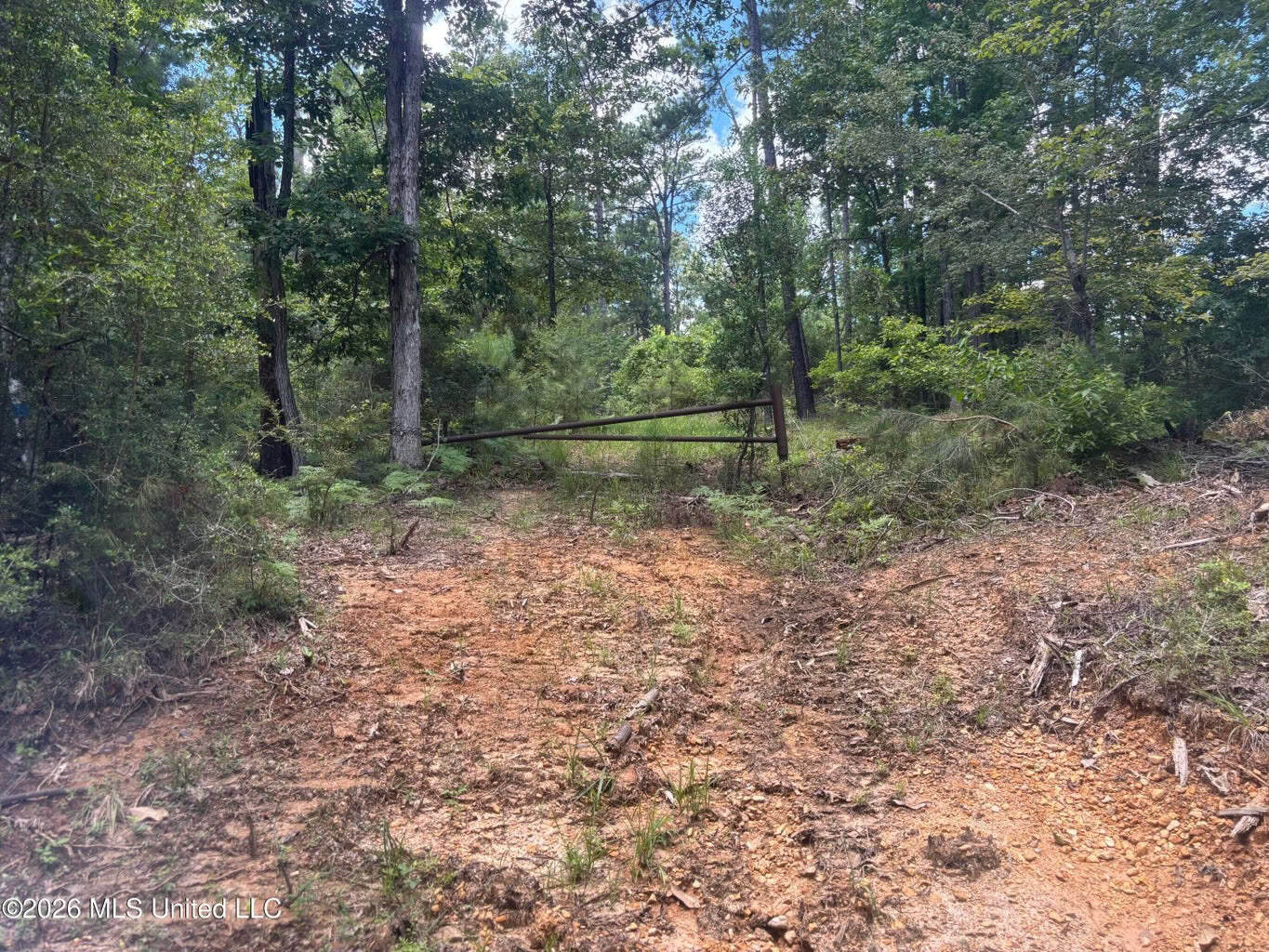 Wilkinson County MS Hunting Land for Sale