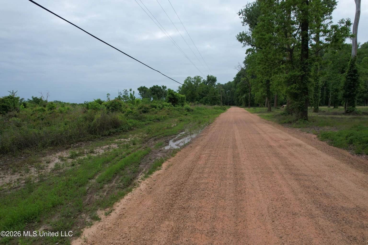 88 Acre Hunting Property – Wilkinson County, MS