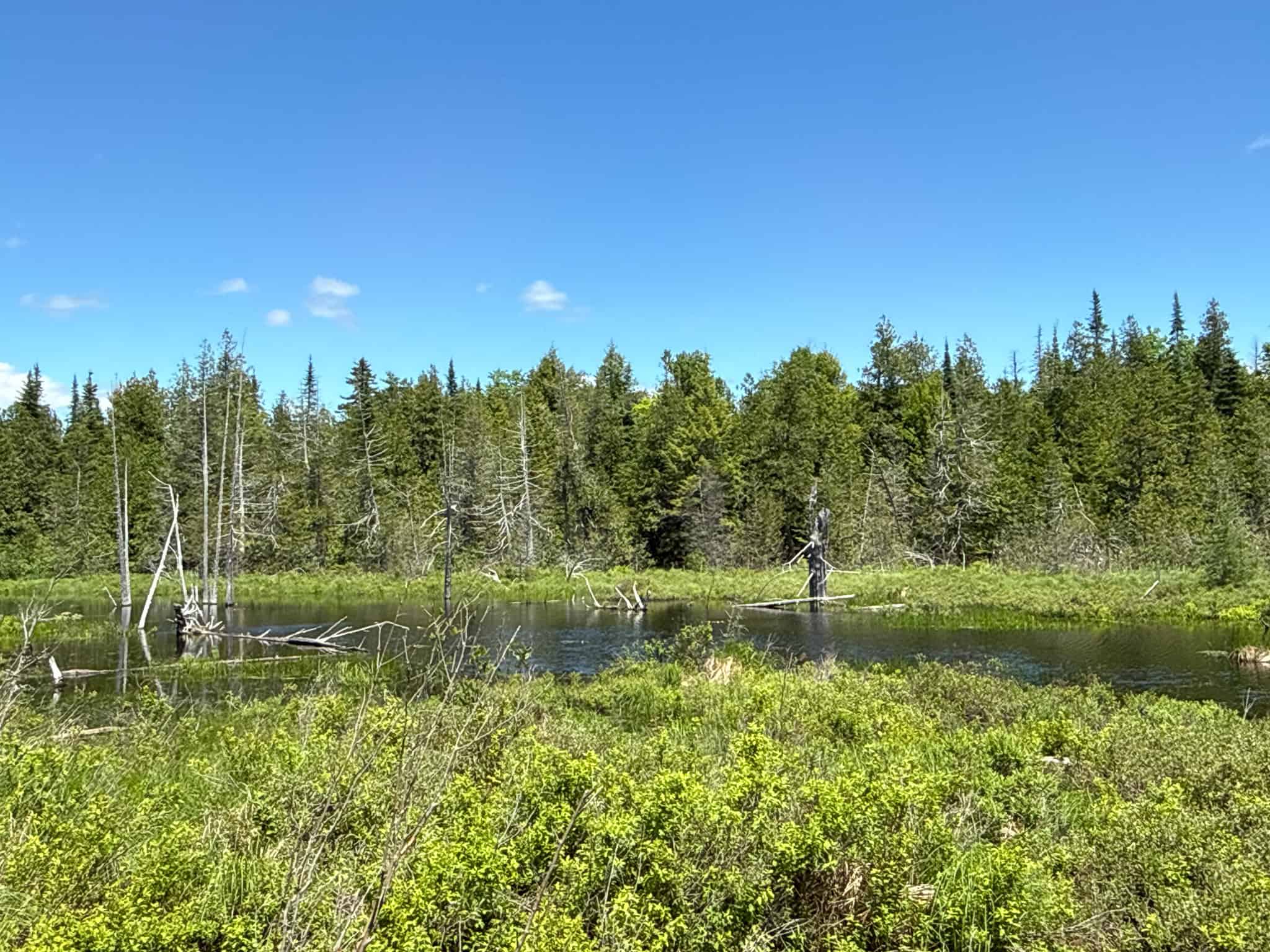 Large Acreage Maine Land for Sale Near West Grand Lake Chain