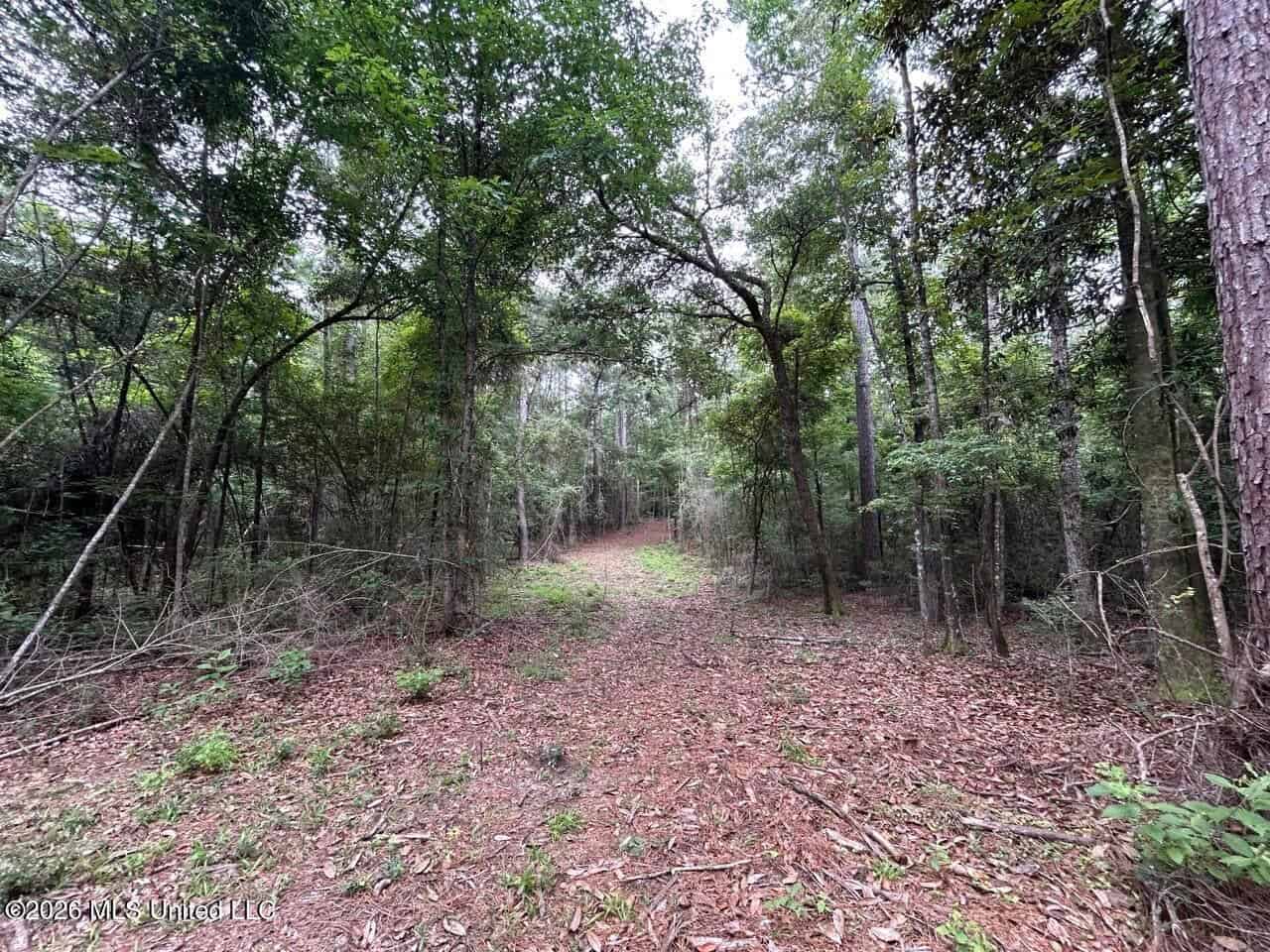 120± Acres for Sale in Osyka, MS on Tickfaw River