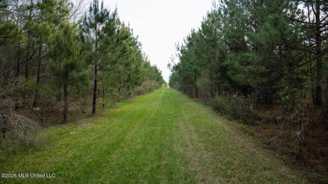958± Acre High-Fence Ranch in Oakdale, Louisiana