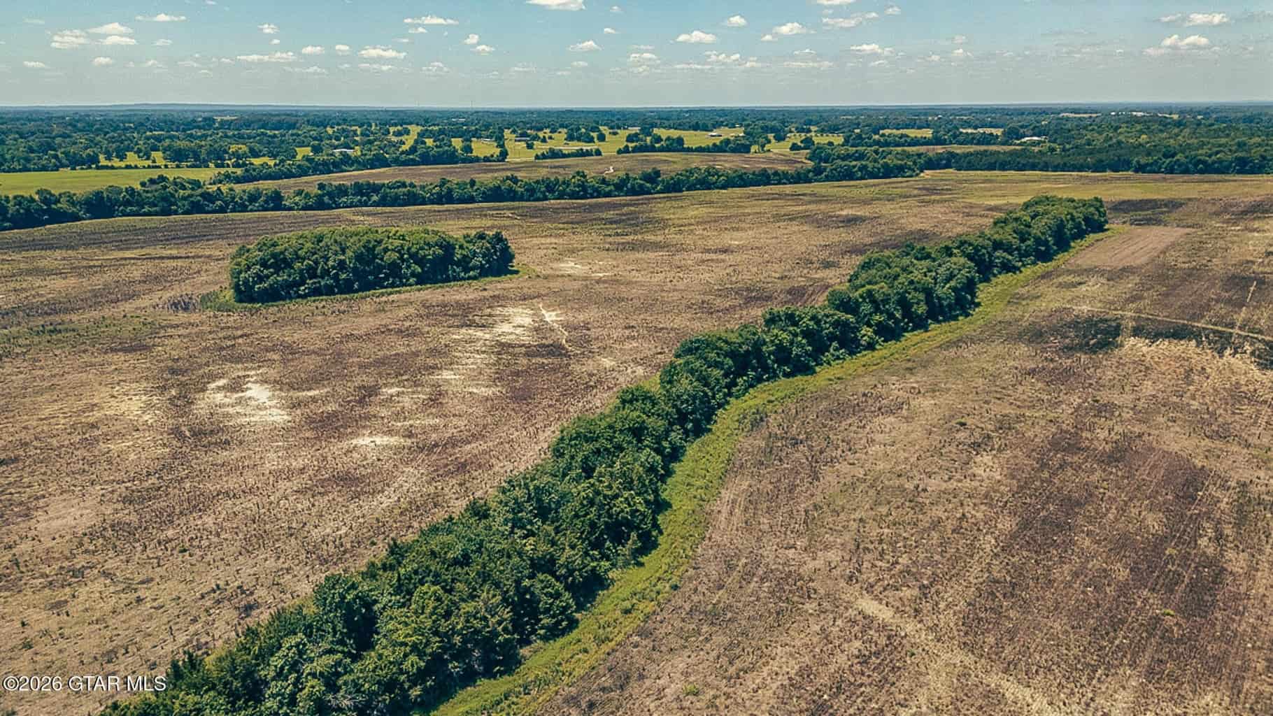 527 Acres Black Belt Prairie Clay County MS