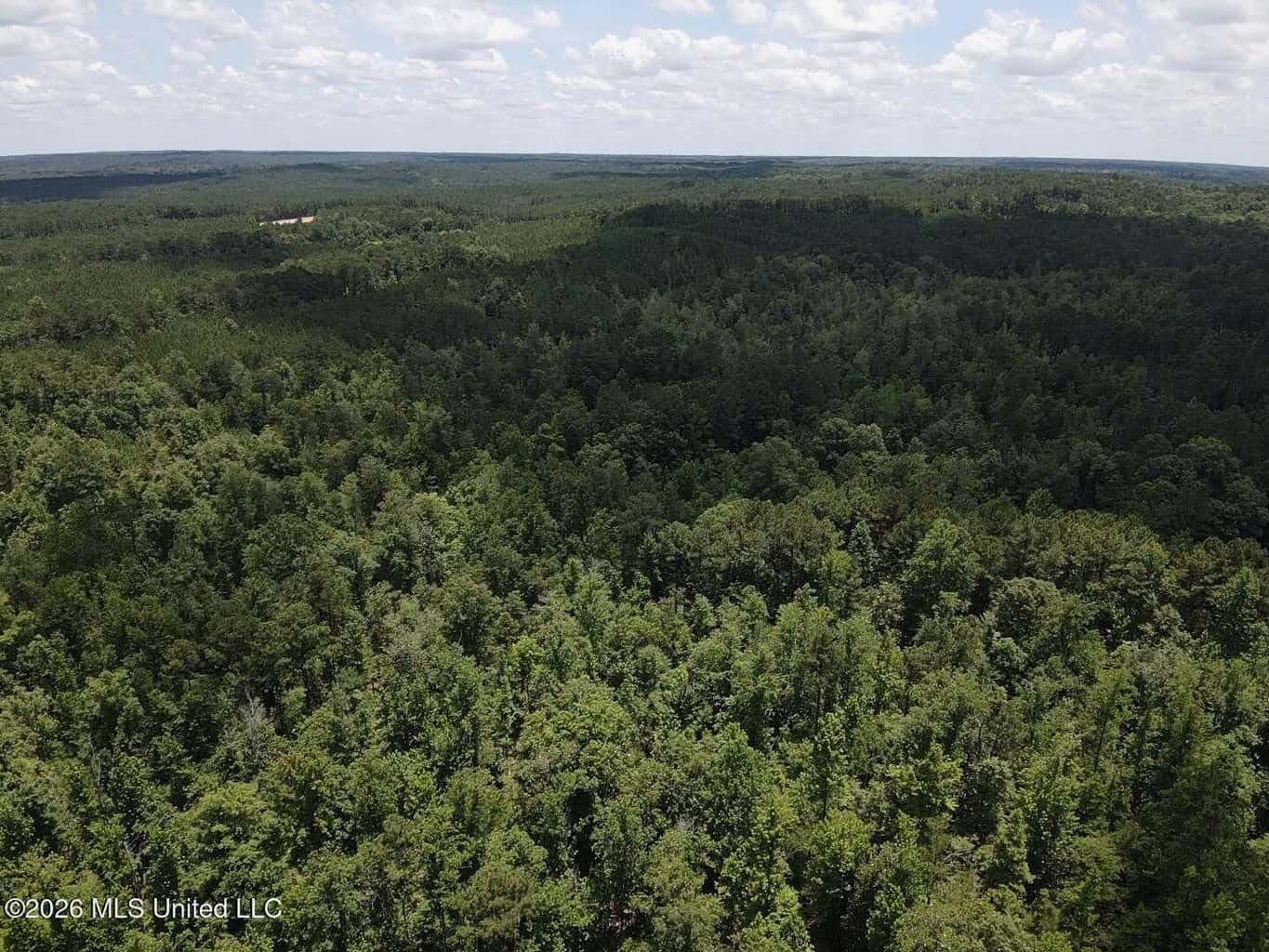 Wilkinson County MS Hunting Land for Sale