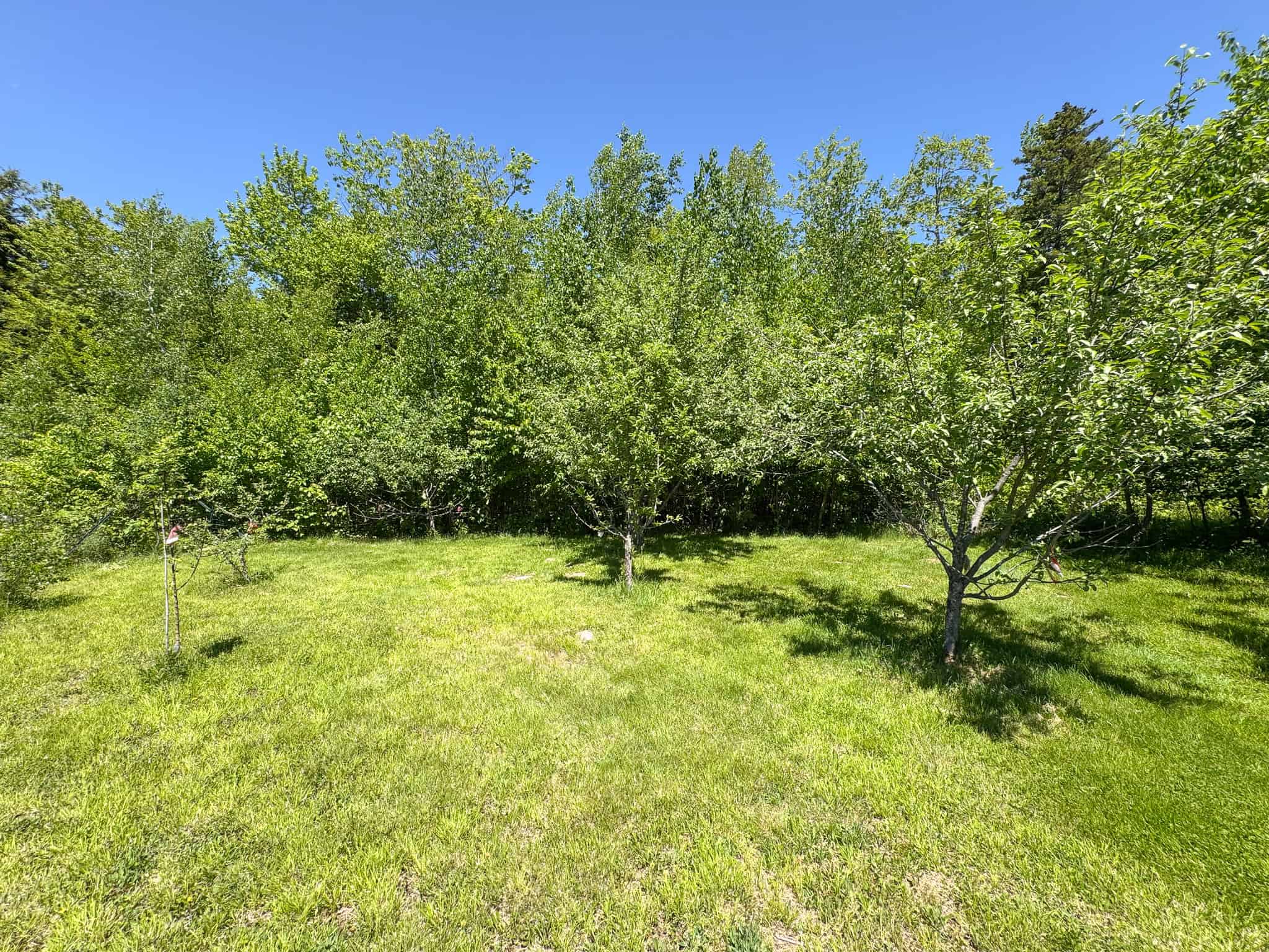 Unique Eco Friendly Home on 18.7 Acres – Waterford, Maine