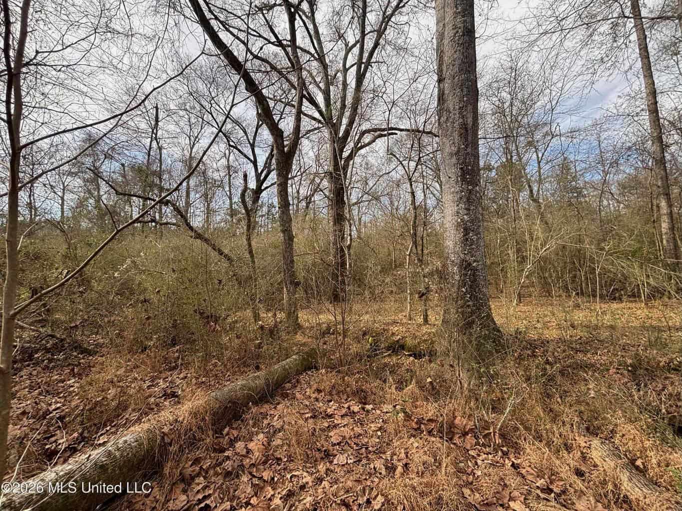 Hazlehurst MS Hunting Land for Sale
