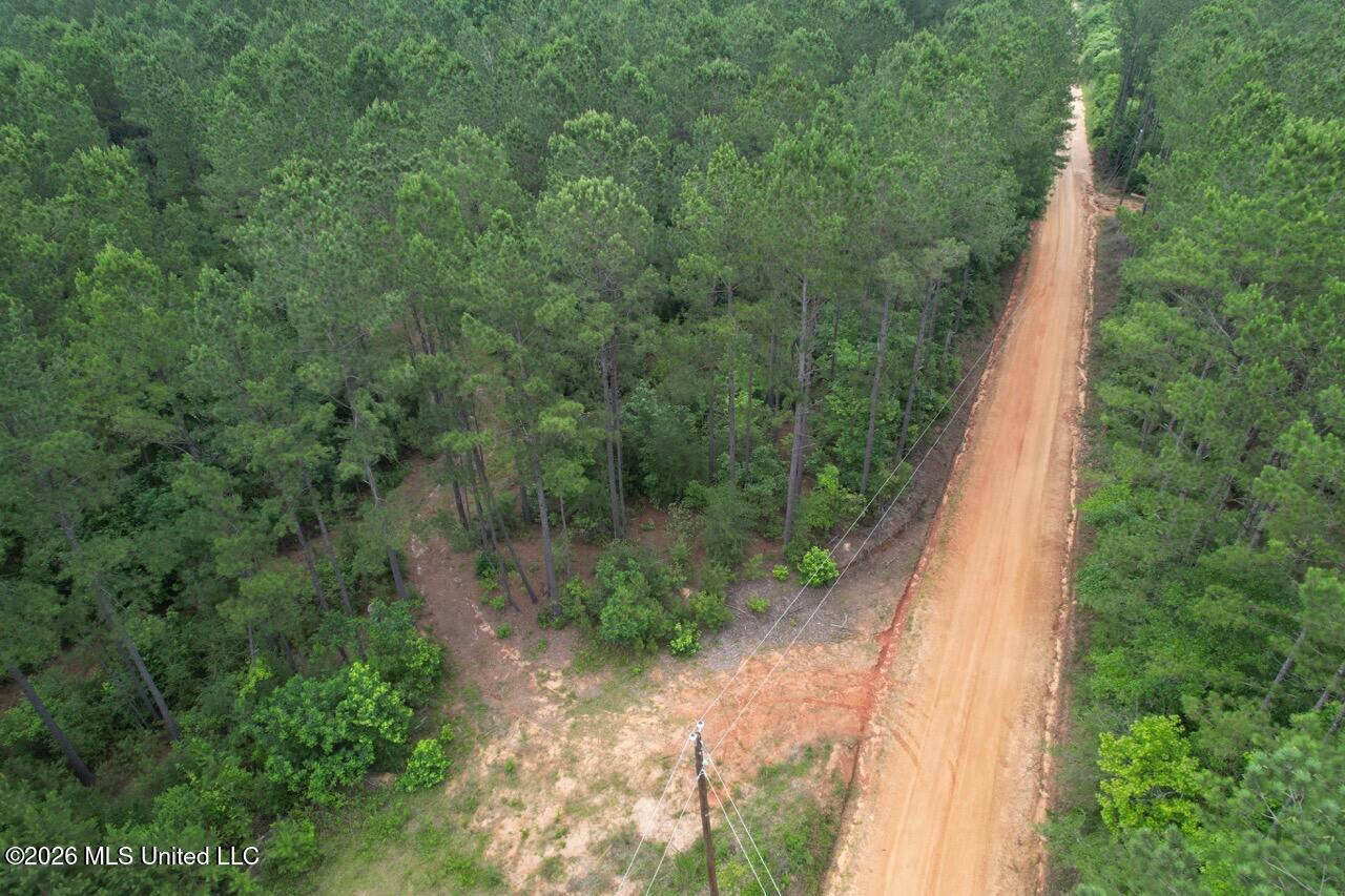 120± Acres for Sale in Osyka, MS on Tickfaw River