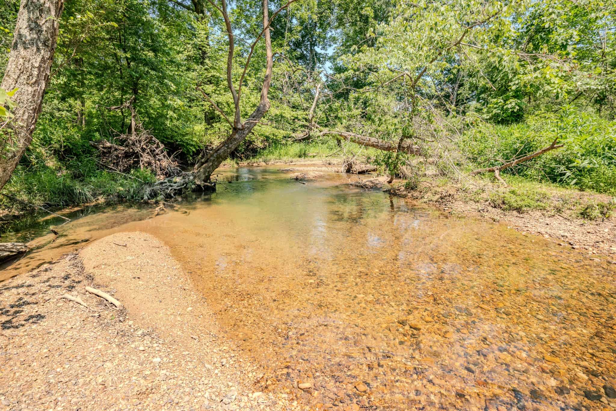 PRIVATE 394 ACRE TENNESSEE ESTATE WITH HOME, SHOP, CREEK, POND,TEARMING WITH WHITETAIL DEER AND TURKEY