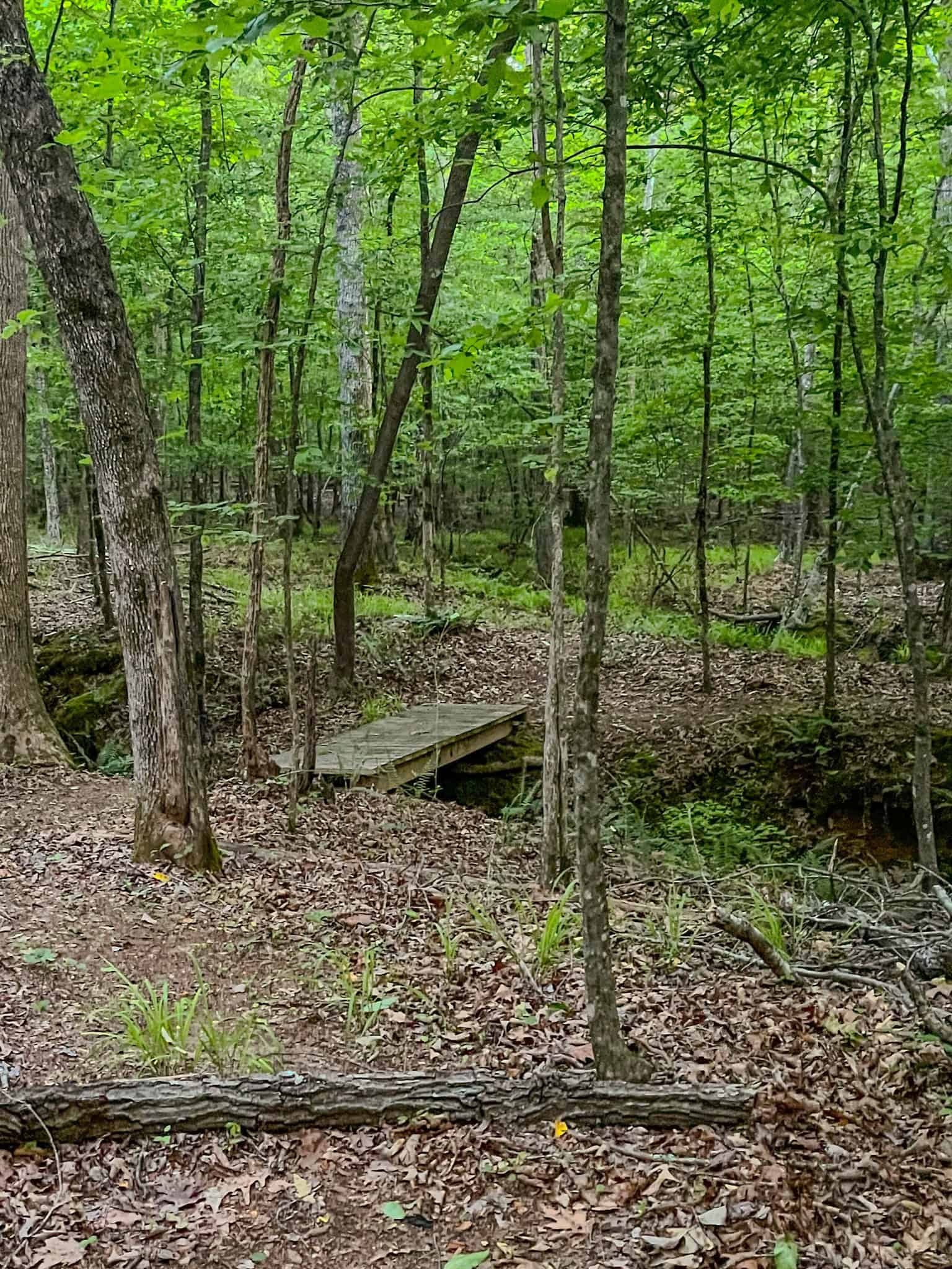 PRIVATE 394 ACRE TENNESSEE ESTATE WITH HOME, SHOP, CREEK, POND,TEARMING WITH WHITETAIL DEER AND TURKEY