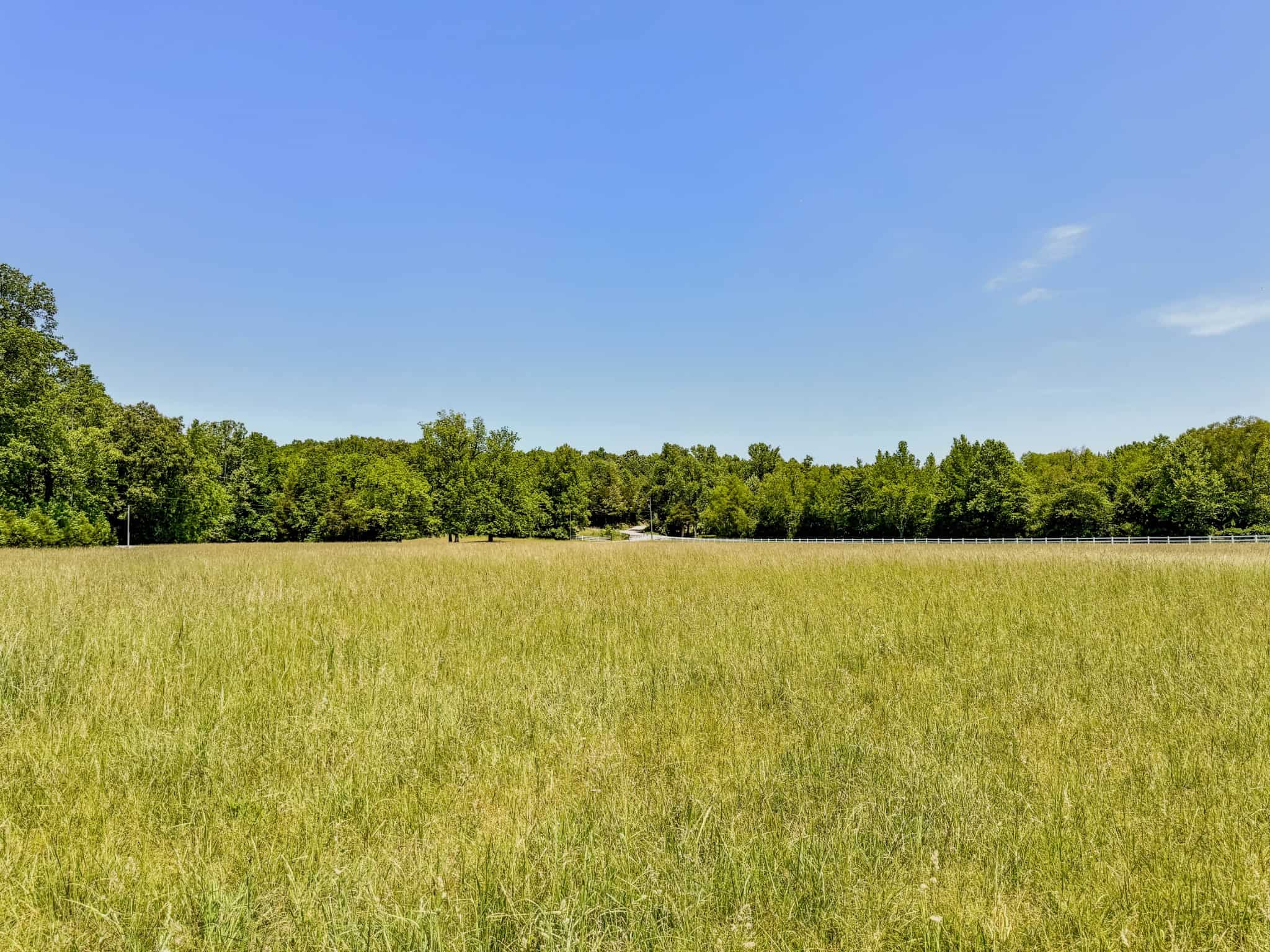 PRIVATE 394 ACRE TENNESSEE ESTATE WITH HOME, SHOP, CREEK, POND,TEARMING WITH WHITETAIL DEER AND TURKEY