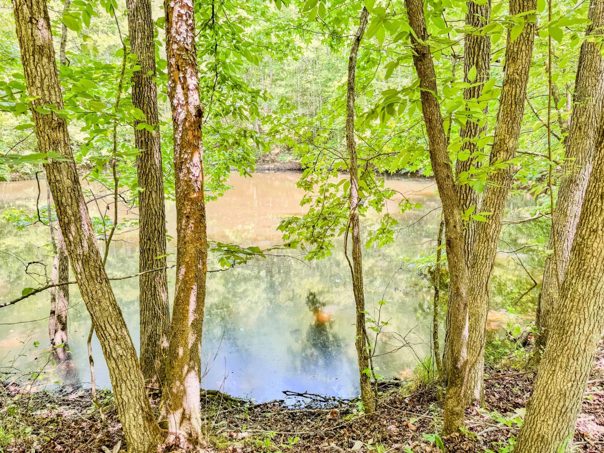 PRIVATE 394 ACRE TENNESSEE ESTATE WITH HOME, SHOP, CREEK, POND,TEARMING WITH WHITETAIL DEER AND TURKEY