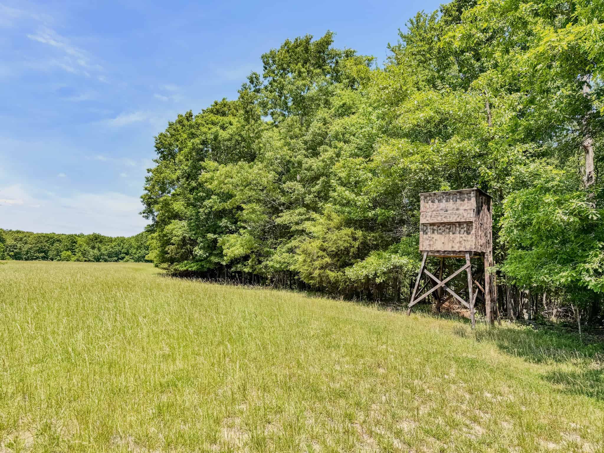PRIVATE 394 ACRE TENNESSEE ESTATE WITH HOME, SHOP, CREEK, POND,TEARMING WITH WHITETAIL DEER AND TURKEY