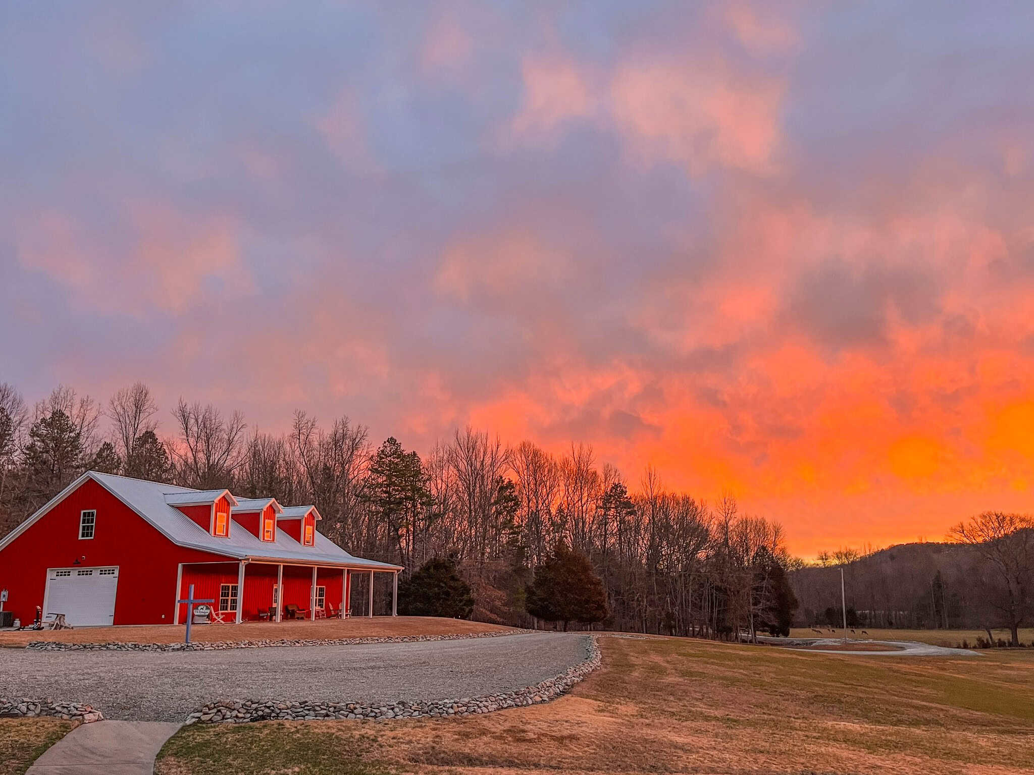 PRIVATE 394 ACRE TENNESSEE ESTATE WITH HOME, SHOP, CREEK, POND,TEARMING WITH WHITETAIL DEER AND TURKEY