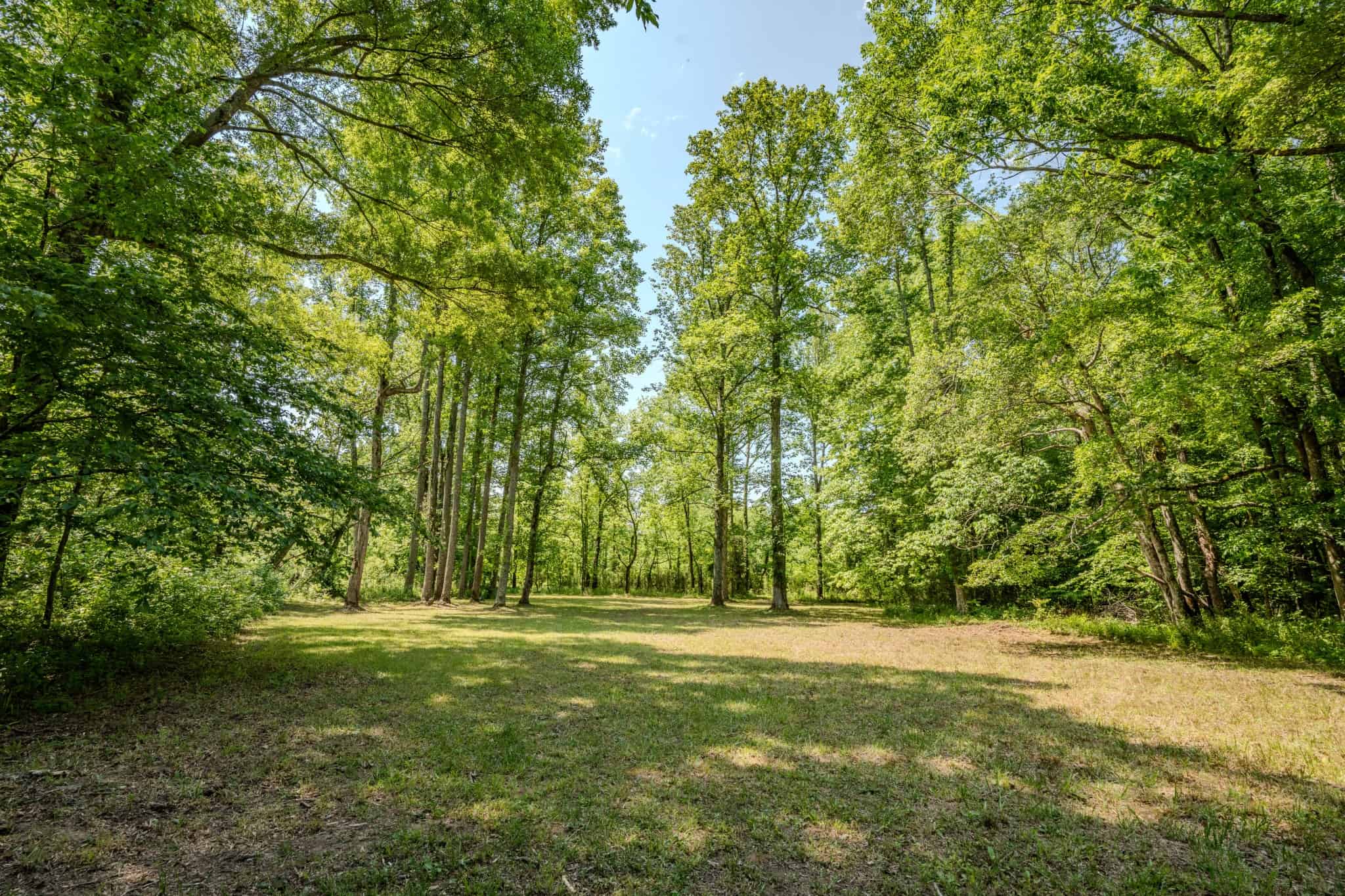 PRIVATE 394 ACRE TENNESSEE ESTATE WITH HOME, SHOP, CREEK, POND,TEARMING WITH WHITETAIL DEER AND TURKEY