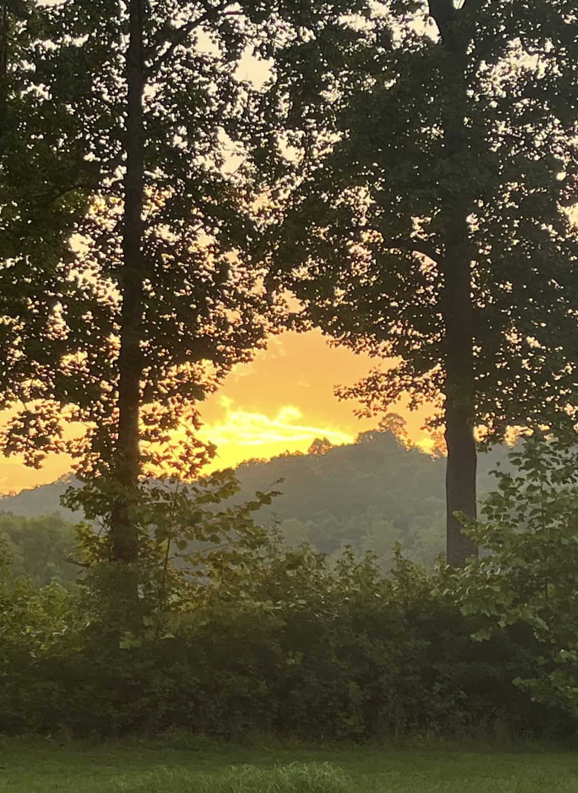 PRIVATE 394 ACRE TENNESSEE ESTATE WITH HOME, SHOP, CREEK, POND,TEARMING WITH WHITETAIL DEER AND TURKEY