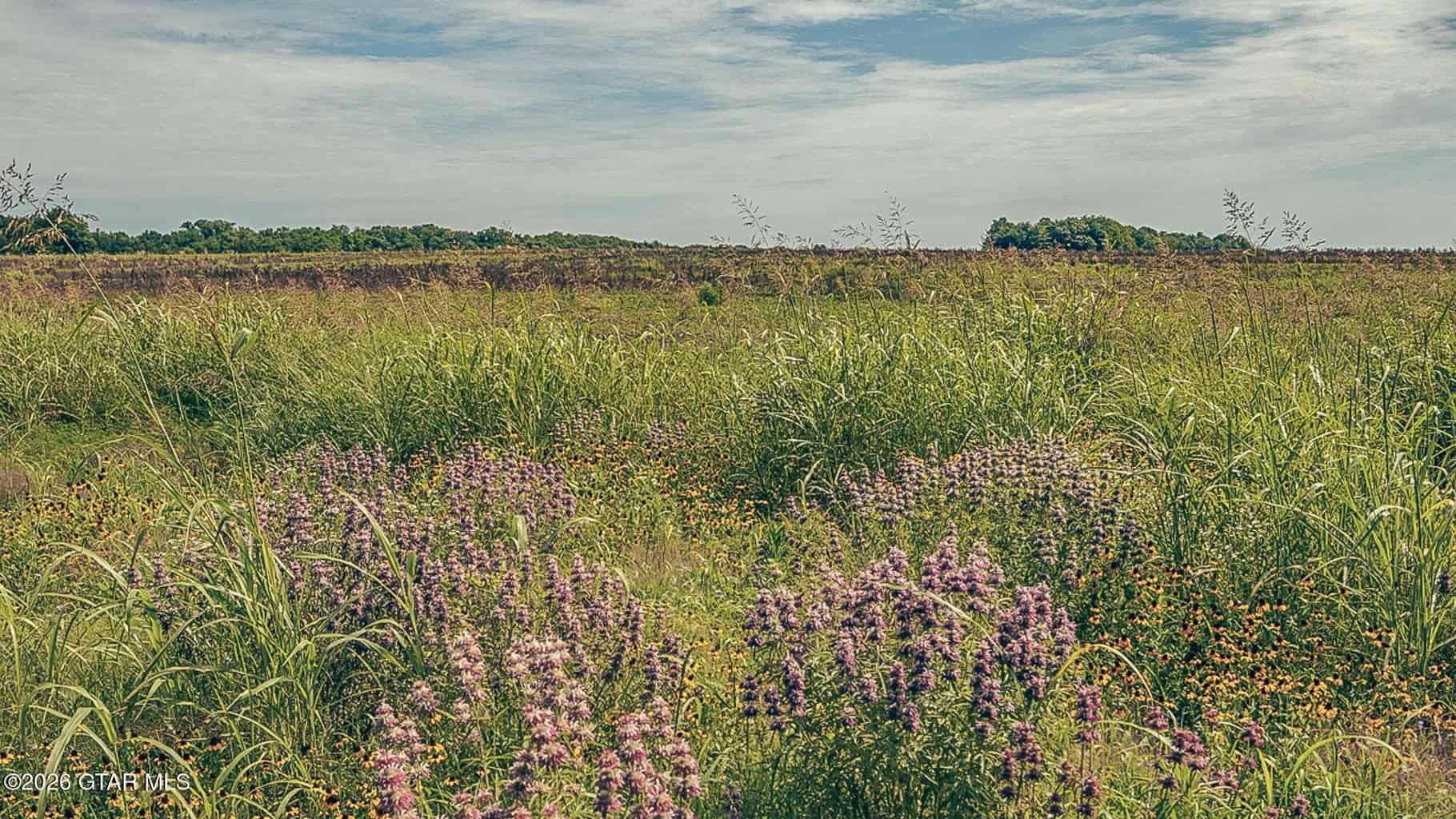 527 Acres Black Belt Prairie Clay County MS