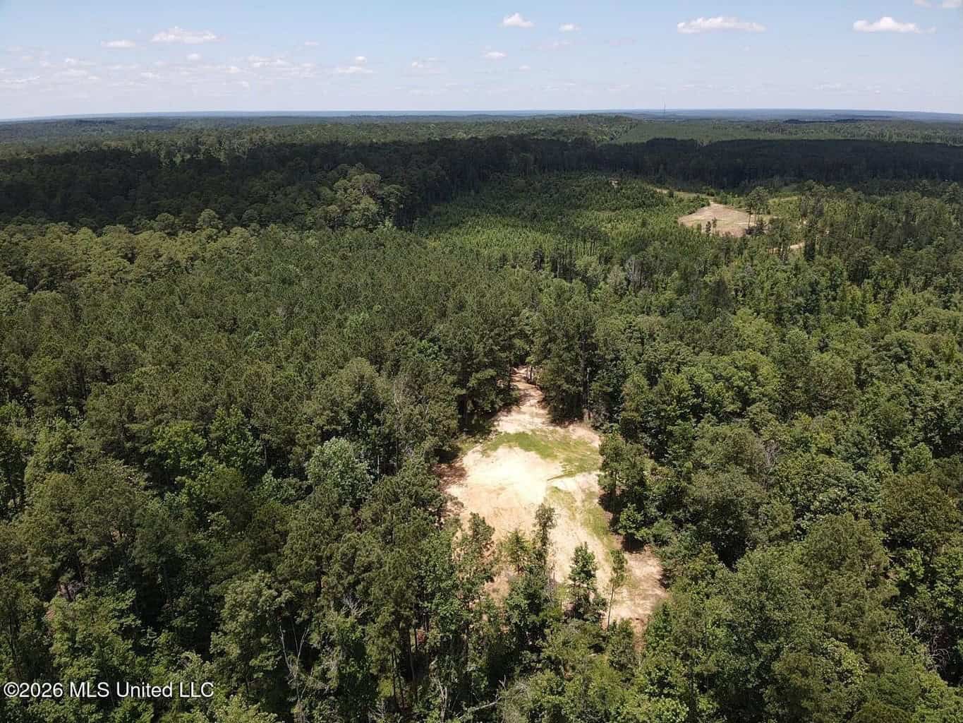 Wilkinson County MS Hunting Land for Sale