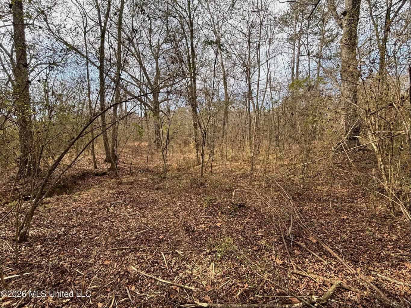 Hazlehurst MS Hunting Land for Sale